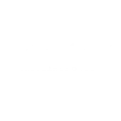 Admiral Insurance — Naked Hats corporate hat bar client