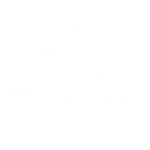 Snorkel AI — Naked Hats corporate hat bar client