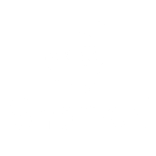 Snorkel AI white