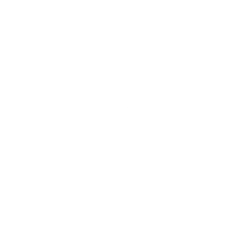 google logo white