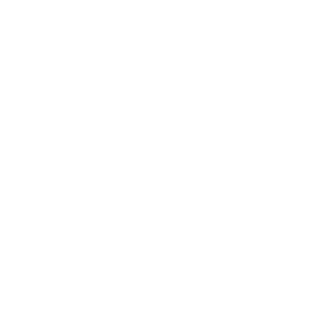 Coresight logo